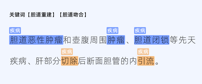 医疗文本实体标注