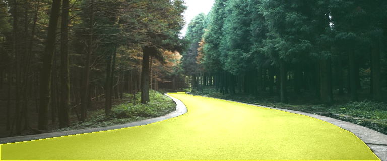可行驶区域标注